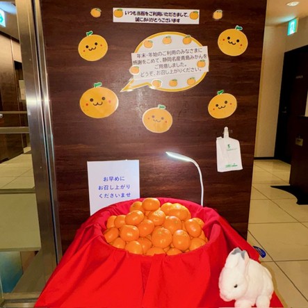 年末年始の感謝を込めて｜静岡県名産「青島みかん」プレゼントのご案内