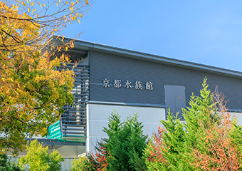 京都水族館