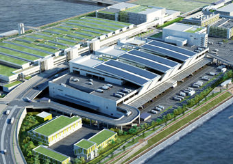 豊洲市場